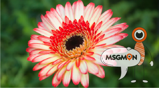 내 몸에 맞는 부위 집중 케어