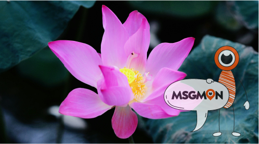 마사지몬과 함께라면