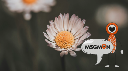 어디서 즐기면 좋을까? 꿀팁 공개!