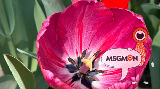 하드 마사지, 안전이 먼저!