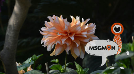 하드 마사지 뜻, 강렬함 속의 힐링