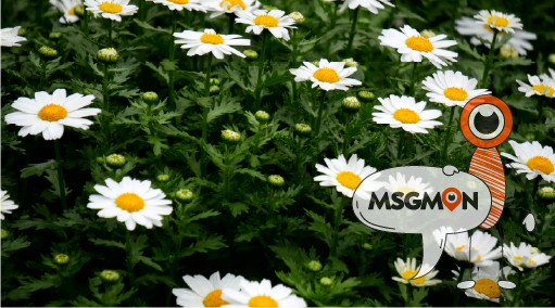 어떤 점이 다를까?