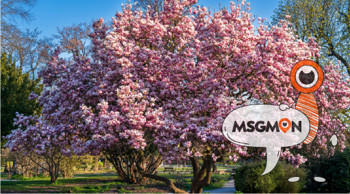 스웨디시 마사지의 매력