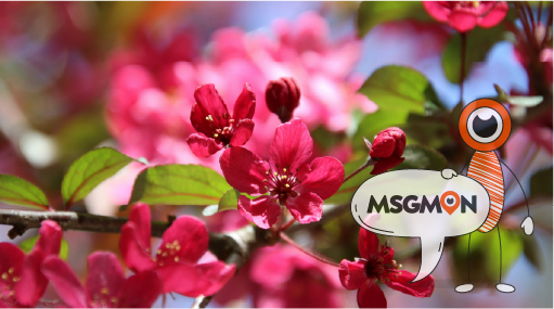 실망 없는 힐링 타임