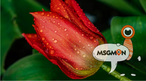 어떤 점이 특별하게 만들까?