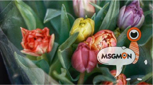 나를 위한 작은 사치, 감성마사지