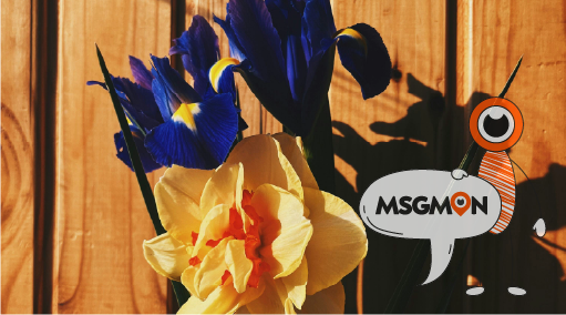 어떤 경험을 기대할 수 있을까?