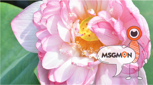 스파 & 에스테틱