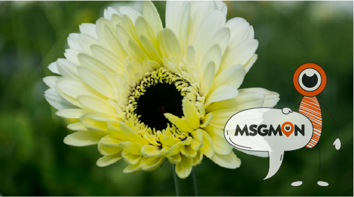 꾸준함이 건강을 만든다