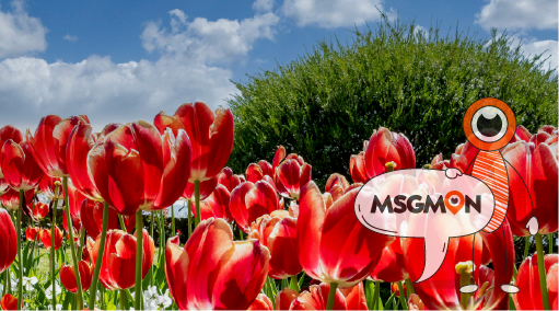 시아추 마사지, 어디서 받을 수 있나요?