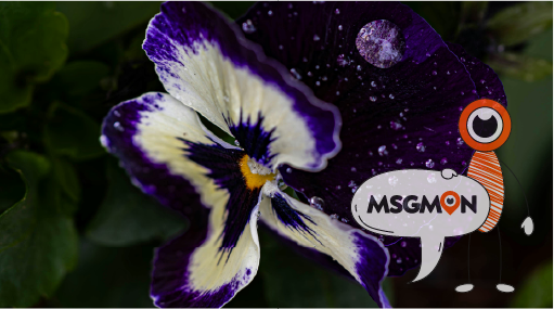 하드 마사지로 몸도 마음도 시원하게