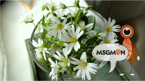 나를 위한 힐링 타이밍