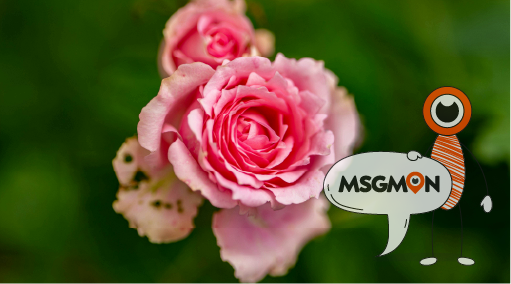 커플 스파·마사지가 왜 요즘 대세일까?