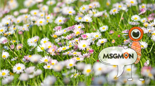 스웨디시 코스, 뭐가 다를까요?