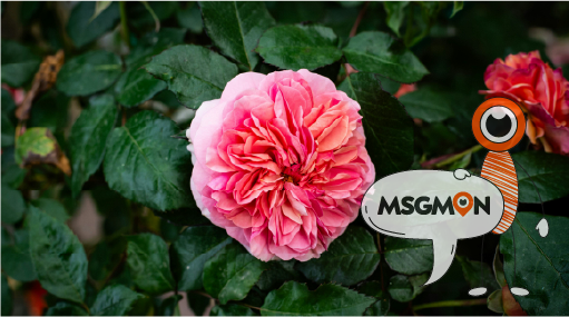 결국 나에게 맞는 게 정답!