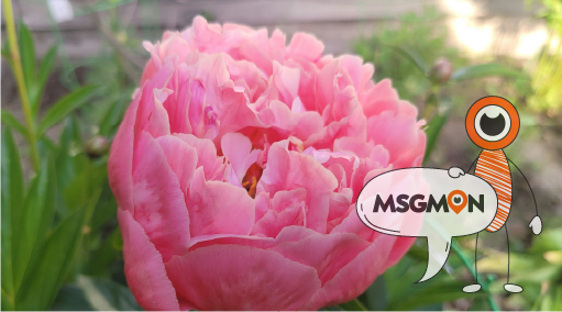 꼭 같이 욕조에 들어가는 건 아니다?