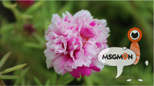 친구·가족·동료와도 함께