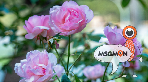 어떤 코스를 골라야 할까요?