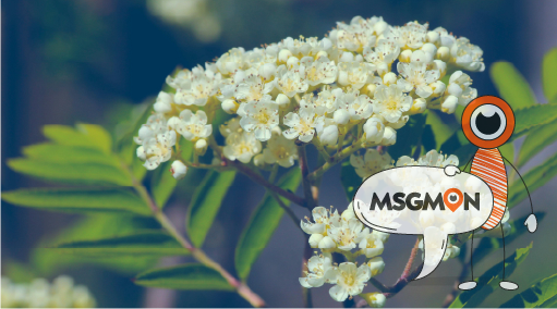 복장도 다르다?