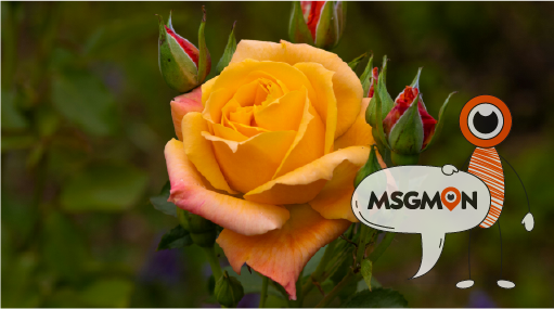 두 마사지 중 내 스타일은?