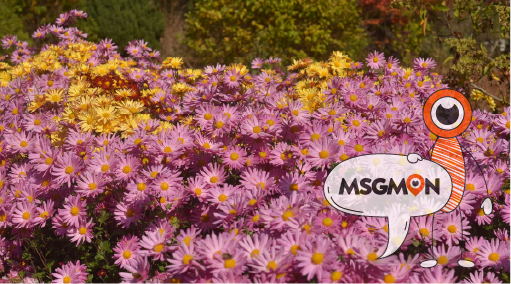 가장 인기 있는 코스