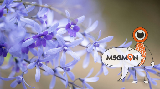 커플 스파, 어떻게 준비