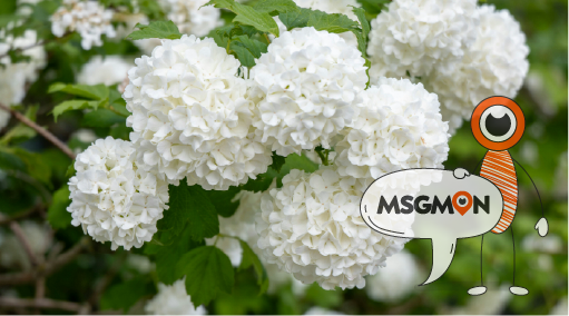 스웨디시 마사지가 뭔가요?