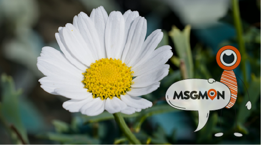 깔끔함과 안정감! 로드샵 스웨디시