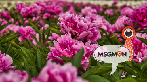 몸과 마음을 챙기는 힐링 타임