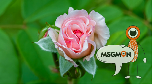 타이마사지는 무조건 건식?