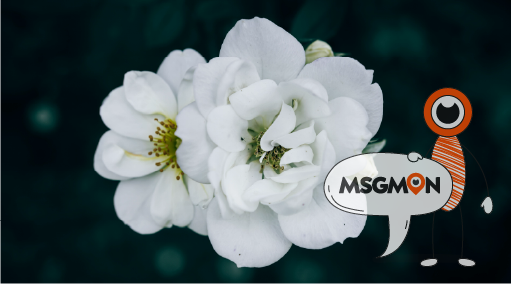 프라이빗 힐링! 1인샵 스웨디시