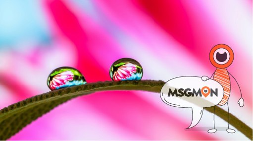 공통점과 차이점은?