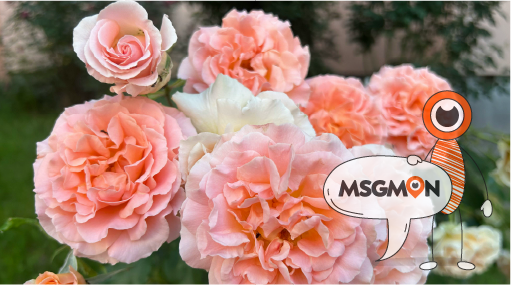 쉽게 구분하는 팁!