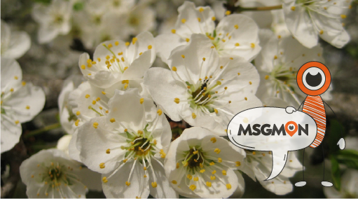 60분 VS 90분, 어떤 점이 다를까?