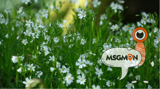 타이마사지는 강한 압 + 스트레칭