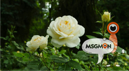 목적도 다르고, 방식도 다르다!