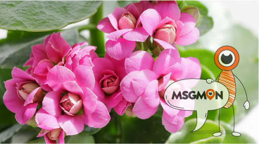 내 몸에 맞는 힐링