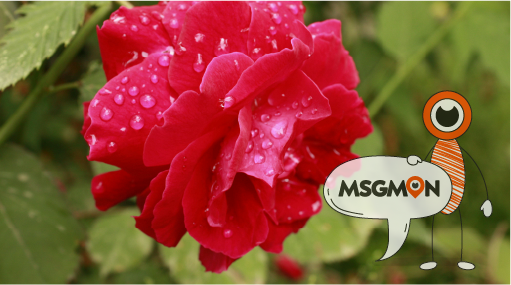 어떤 선택이 내게 맞을까?