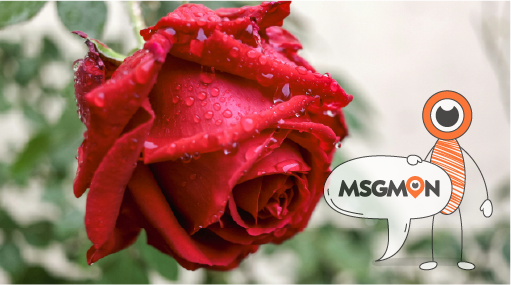 내 상황에 맞춰 선택하면 된다!