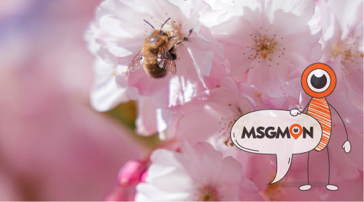 타이 vs 아로마 차이점