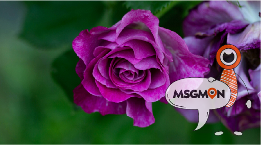 나에게 맞는 마사지 찾기!