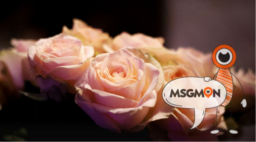 가격은? 시간 대비 효율 체크!