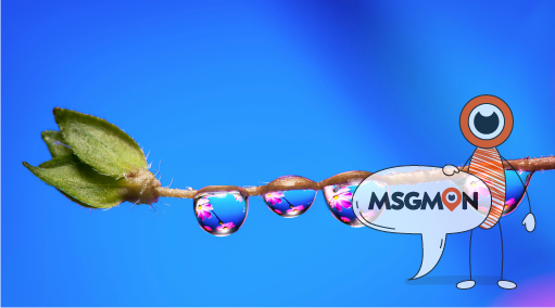 로미로미는 뭐가 다를까?