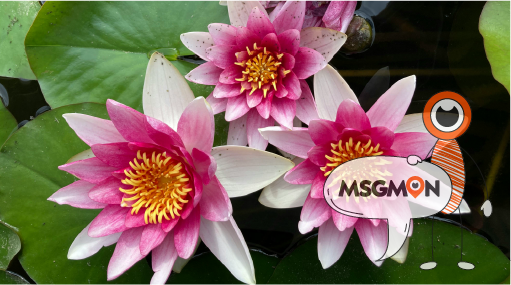 어떤 가격대가 내게 맞을까?