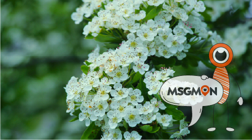 베트남마사지는 부드러운 아로마 힐링