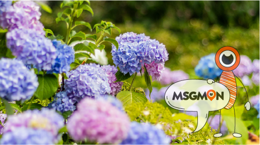 커플마사지 전후, 이것만은 꼭!