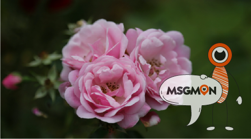 알고 보면 역사 깊은 고급 테라피