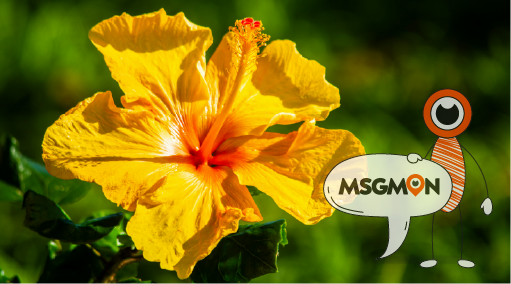 커플마사지샵, 이렇게 고르세요!