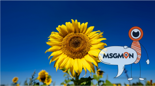 회복을 시작하는 자연스러운 반응