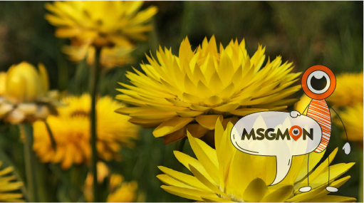 마사지 정보, 어디서 보나요?